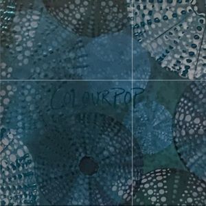 Meet your Posher, Ashlan